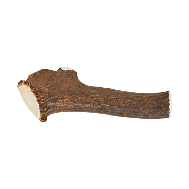 Jawgler Antler Dog Chew, Whole Wild Nature, Giant 1pc