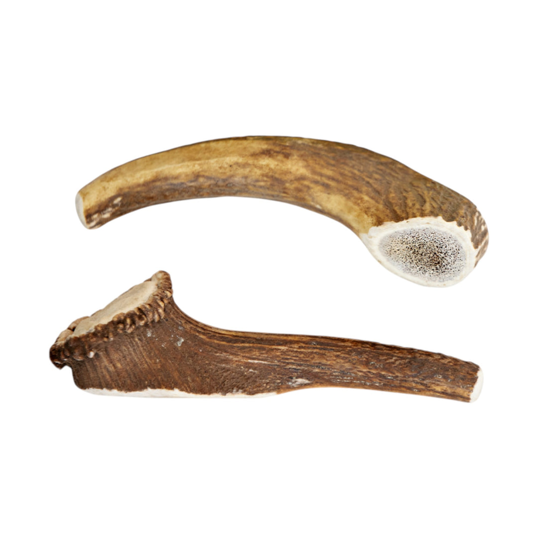 Jawgler Antler Dog Chew, Whole Wild Nature, Large 1pc