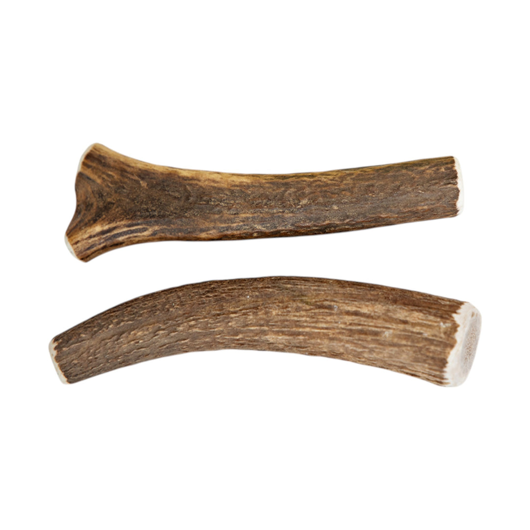 Jawgler Antler Dog Chew, Whole Wild Nature, Med 1pc
