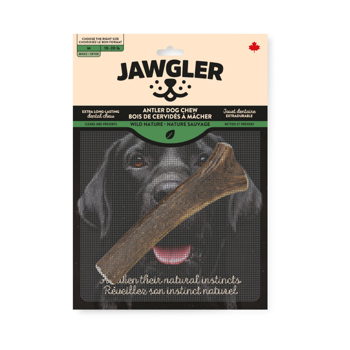 Jawgler Antler Dog Chew, Whole Wild Nature, Med 1pc