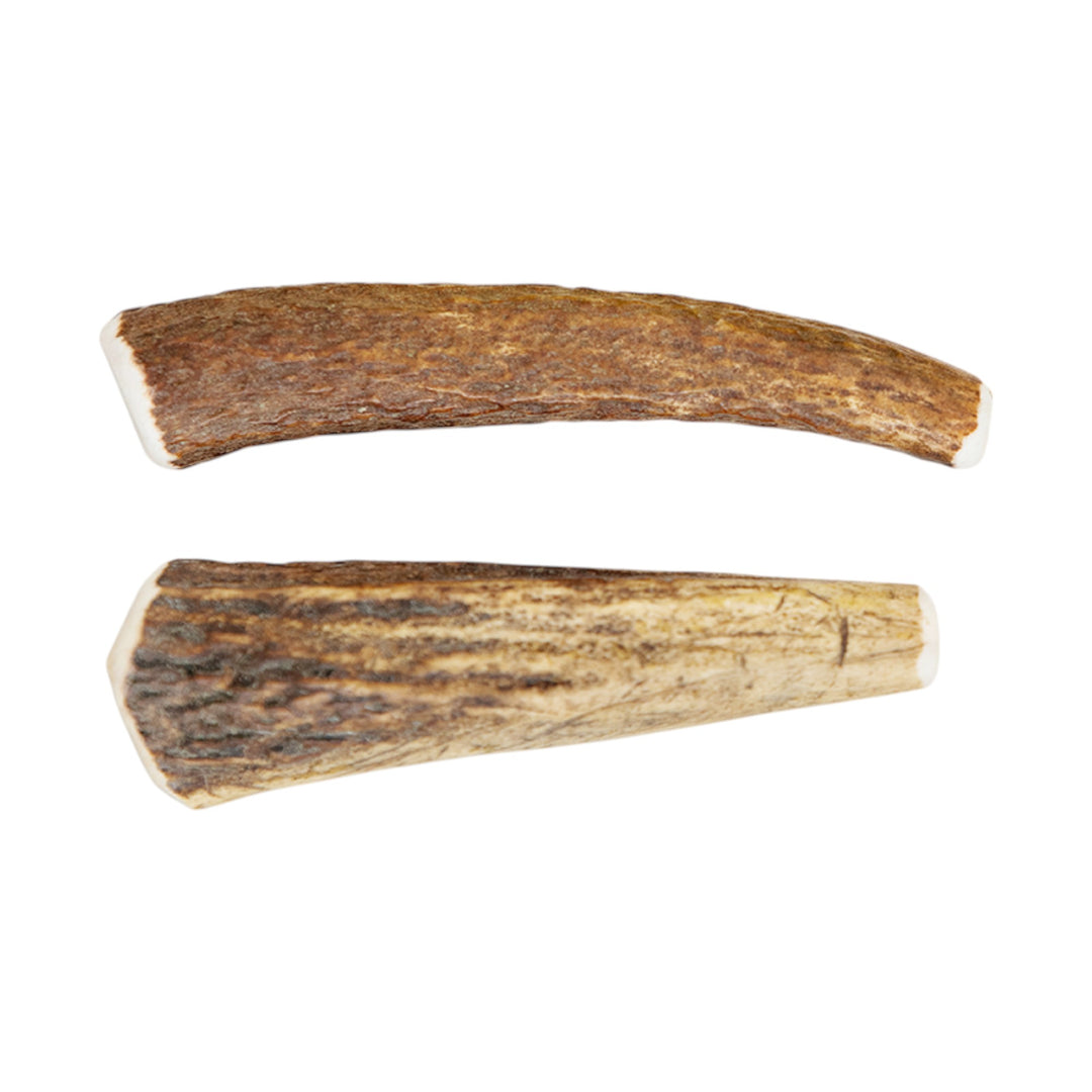 Jawgler Antler Dog Chew, Whole Wild Nature, Small 1pc