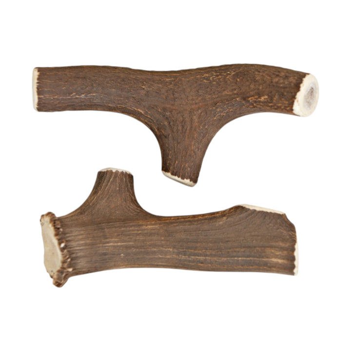 Jawgler Antler Dog Chew, Whole Wild Nature, XX - Large 1pc