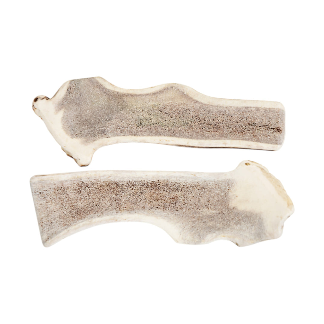 Jawgler Antler Dog Chew, Split Wild Nature, XX - Large 1pc