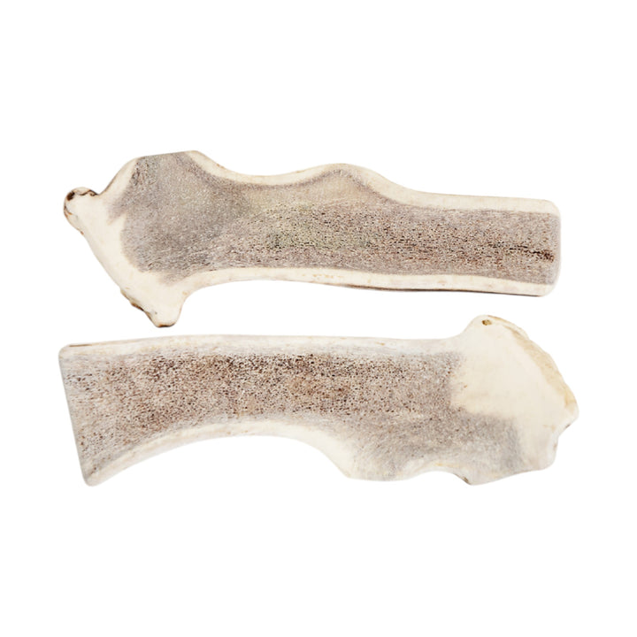 Jawgler Antler Dog Chew, Split Wild Nature, XX - Large 1pc