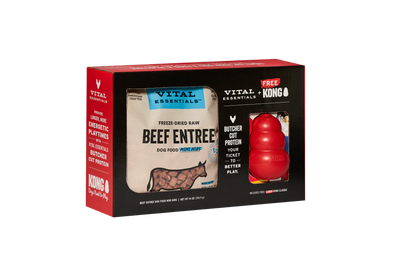 Vital Essentials Dog Freeze-Dried Beef Mini Nibs w/Large Kong Toy (14oz)