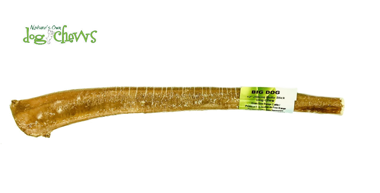 NATURE'S OWN BIG DOG BULLY STICK 12" - Tail Blazers Etobicoke