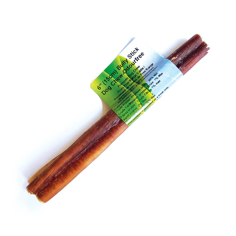 NATURE'S OWN STEER BULLY STICK 6"