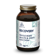 PURICA RECOVERY SA 350G - Tail Blazers Etobicoke