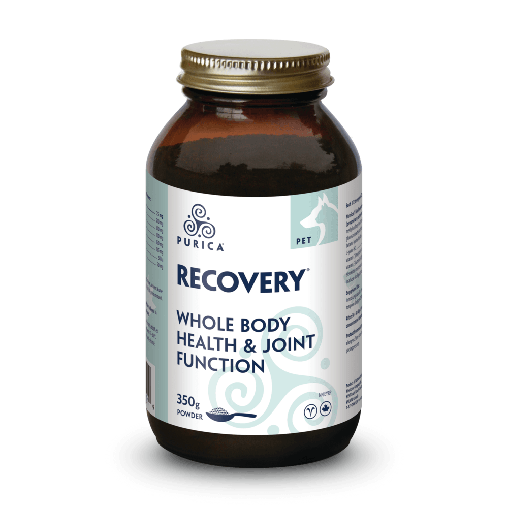 PURICA RECOVERY SA 350G - Tail Blazers Etobicoke