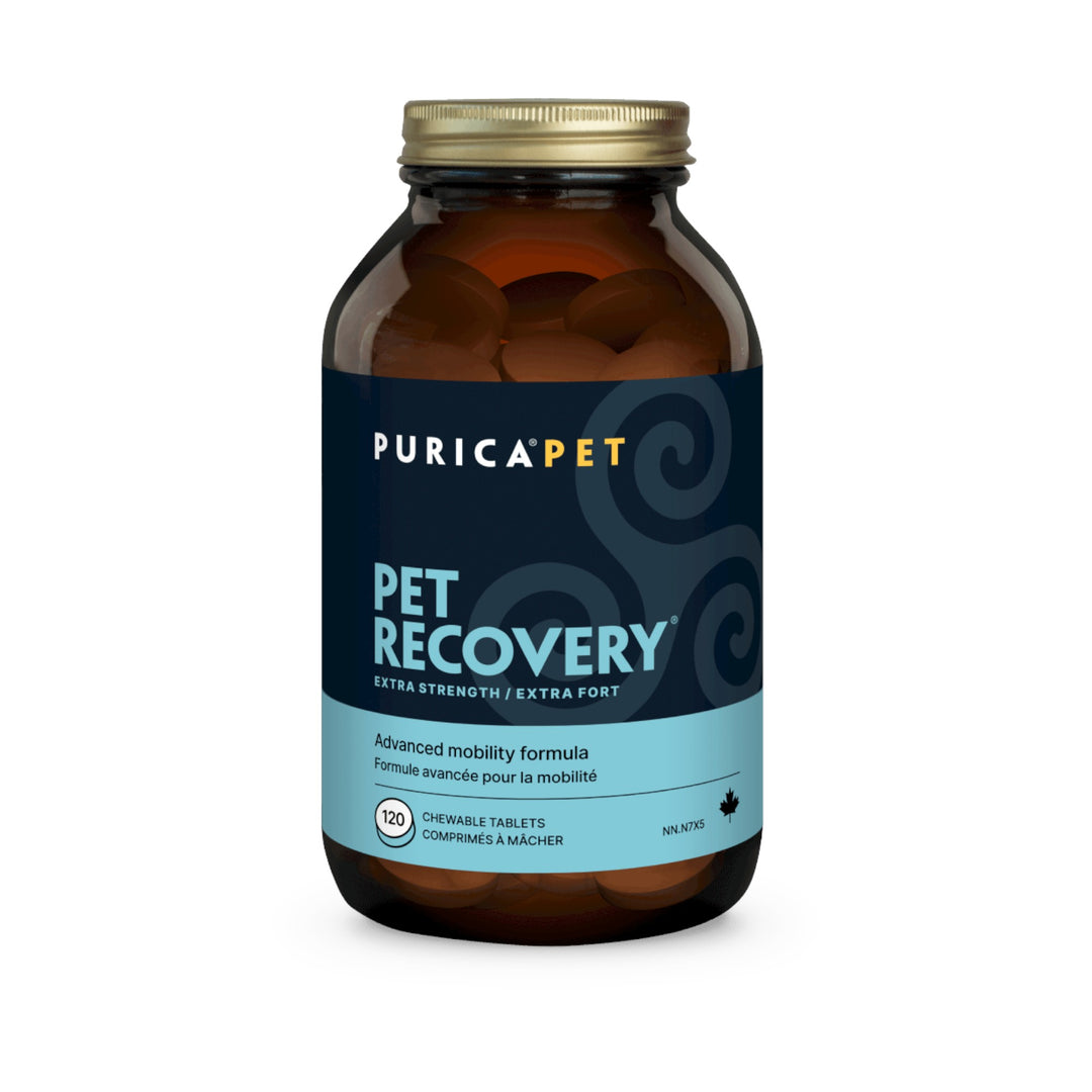 Purica Recovery Sa Ext Strength (120 chew)