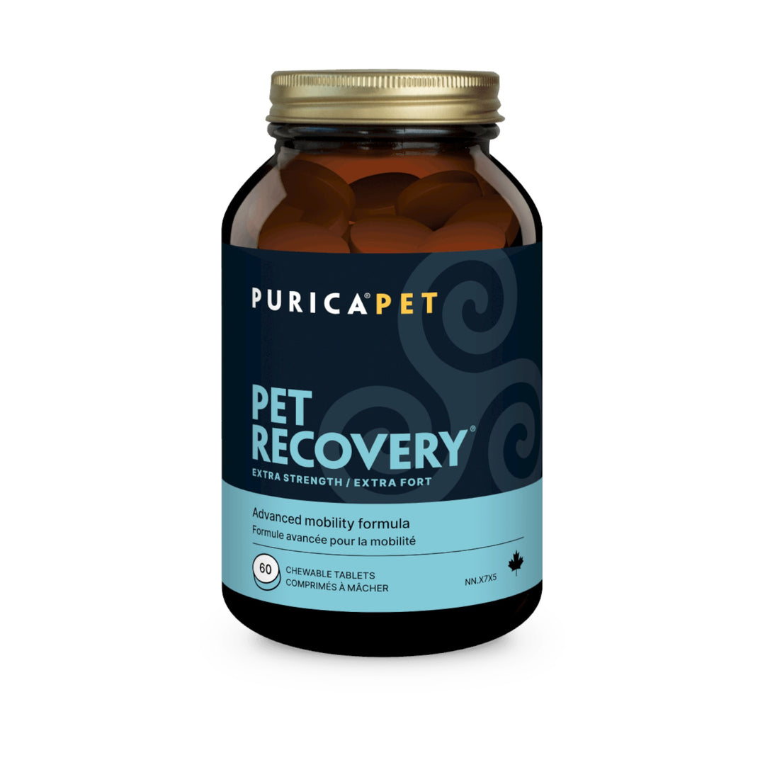Purica Recovery Sa Ext Strength (60 Chew)