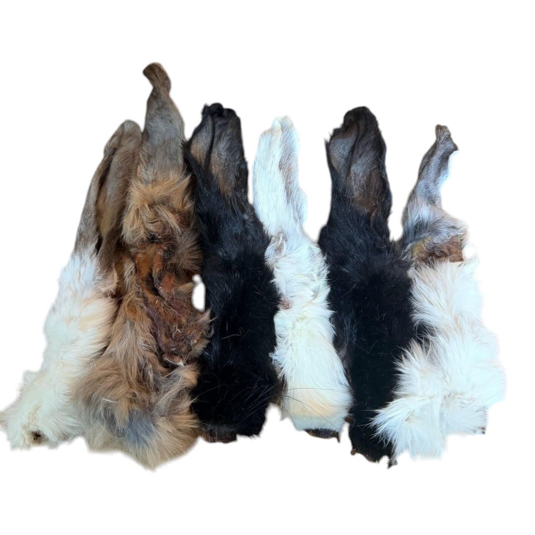 Grand Valley Quail Pet Rabbit Ears Bulk (Large)