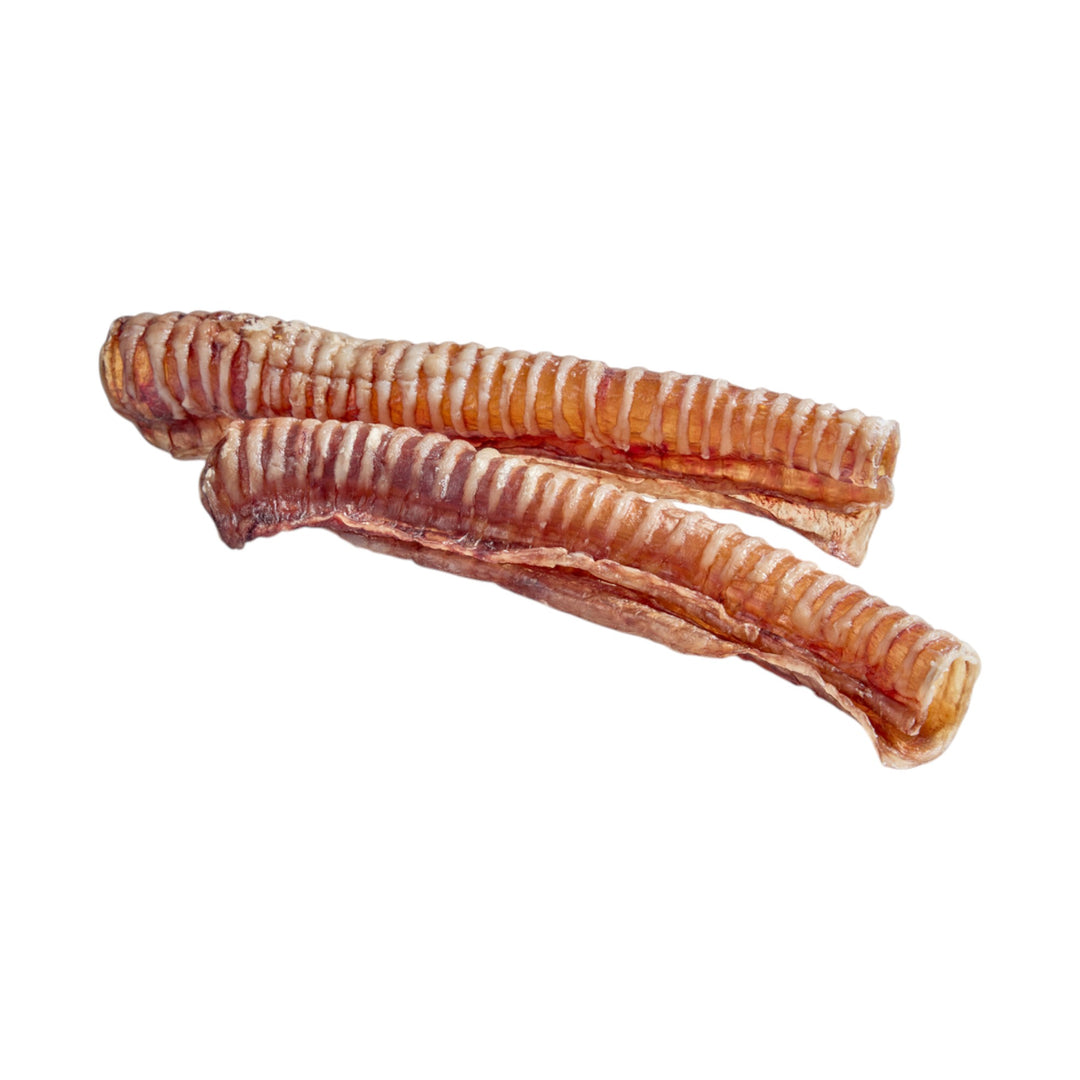 JUST RAW DEHY BEEF TRACHEA 8"