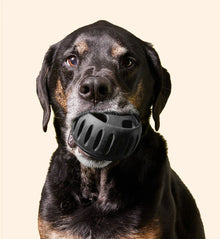 Woof Pet - Power Chewer Pupsicle Extra Large