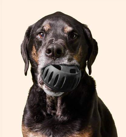 Woof Pet - Power Chewer Pupsicle Extra Large