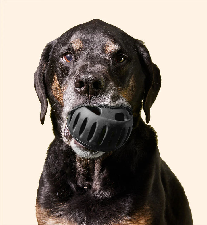 Woof Pet - Power Chewer Pupsicle Large