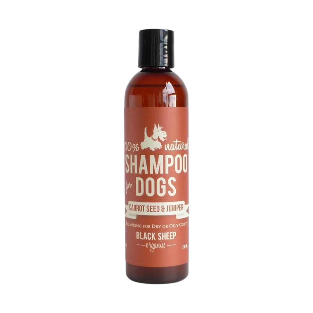 Black Sheep Shampoo Carrot/Juniper (8oz)