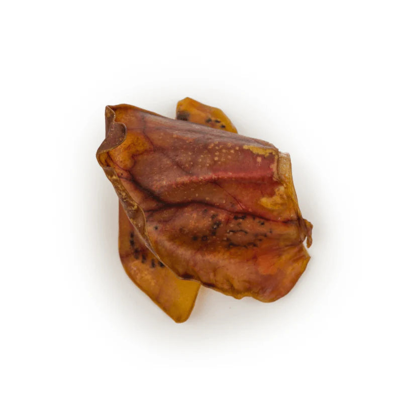 Just Raw Dehydrated Pig Ears (1pc)