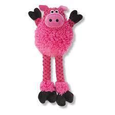 Go Dog Checkers Skinny Pig Small