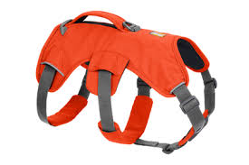 Ruffwear Web Master Harness (Extra-Small)