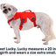 Ruffwear Web Master Harness (Extra-Small)