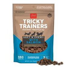 CS TRICKY TRAIN CHEWY SALMON 14OZ