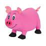 Smart Pet Love Tt Bottle Pig Pink