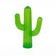 Zippy Paws Cactus