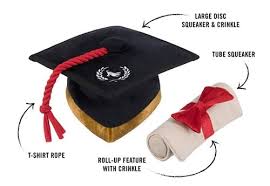 PLAY BACK TO SCHOOL GRAD HAT & SCROLL