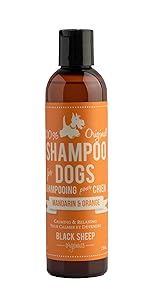 BLACK SHEEP SHAMP MAND/ORNG 8OZ