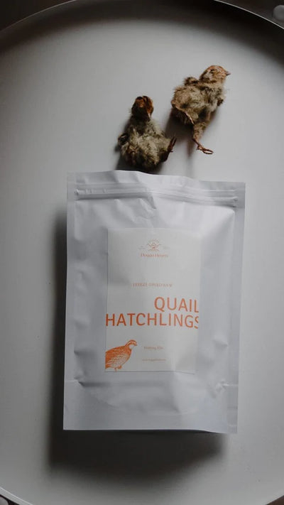 Doggo Hearts Freeze Dried Quail Hatchlings Small Bag (6pk) - Tail Blazers Etobicoke