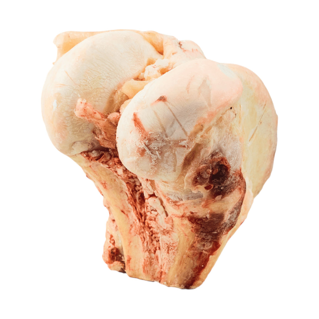 K9 CHOICE BUFFALO KNUCKLE BONE 1PC