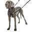 Company of Animals Halti No-Pull Harness (LG) - Tail Blazers Etobicoke