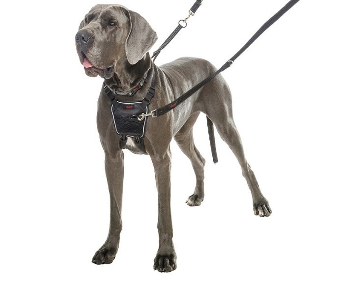 Company of Animals Halti No-Pull Harness (LG) - Tail Blazers Etobicoke