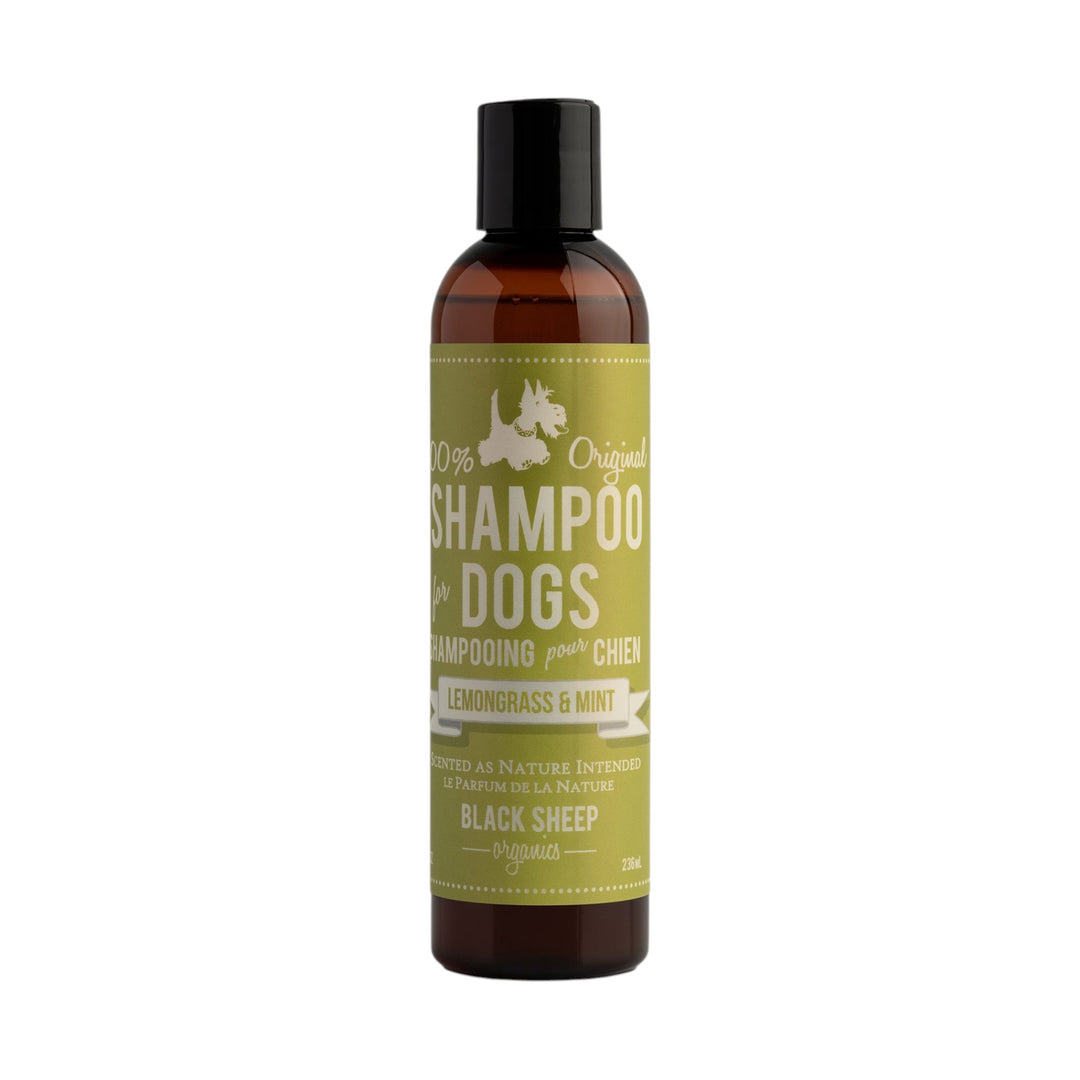 Black Sheep Shampoo Lemongrass/Mint (8oz)
