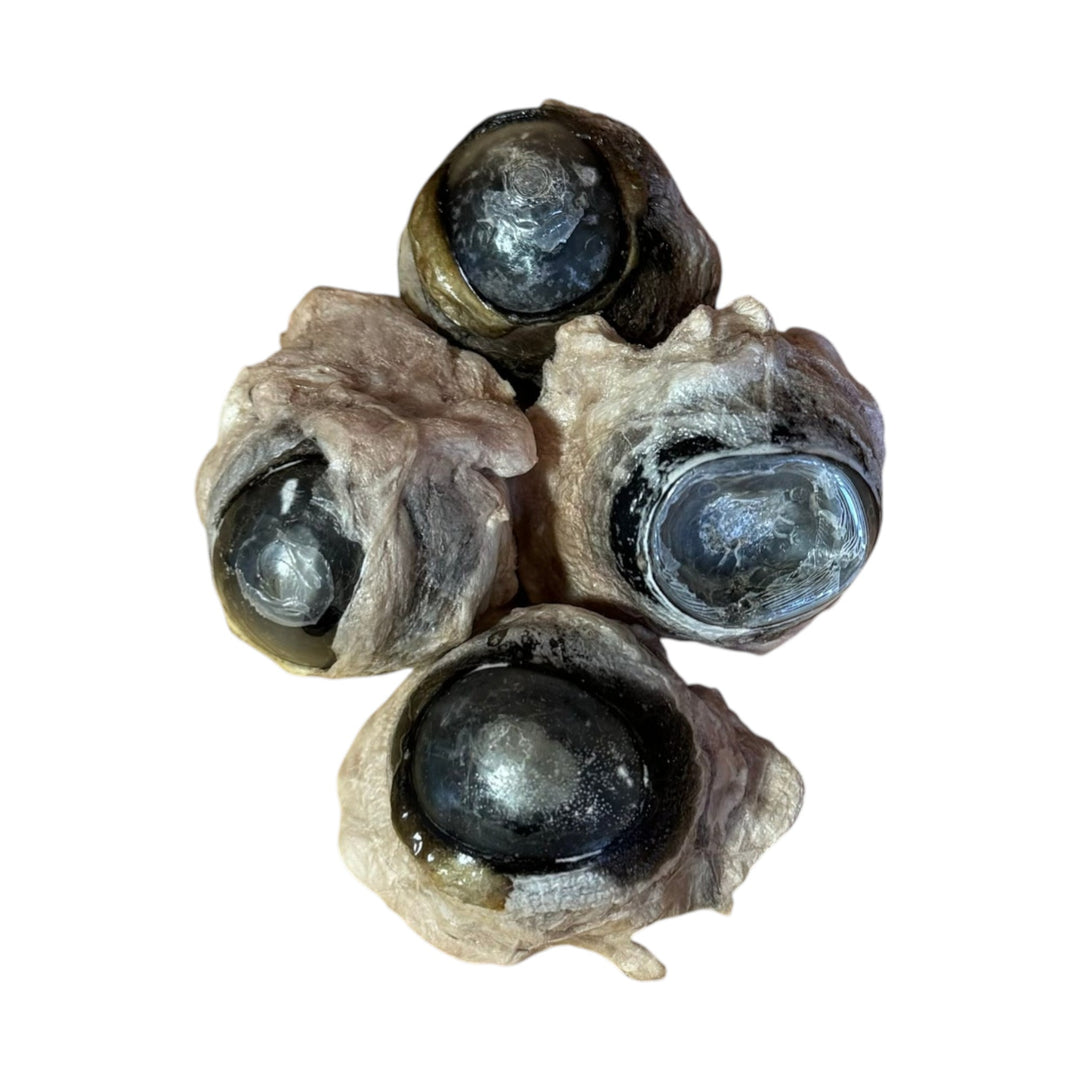 Grand Valley Quail Pet Beef Eyeballs (20g)