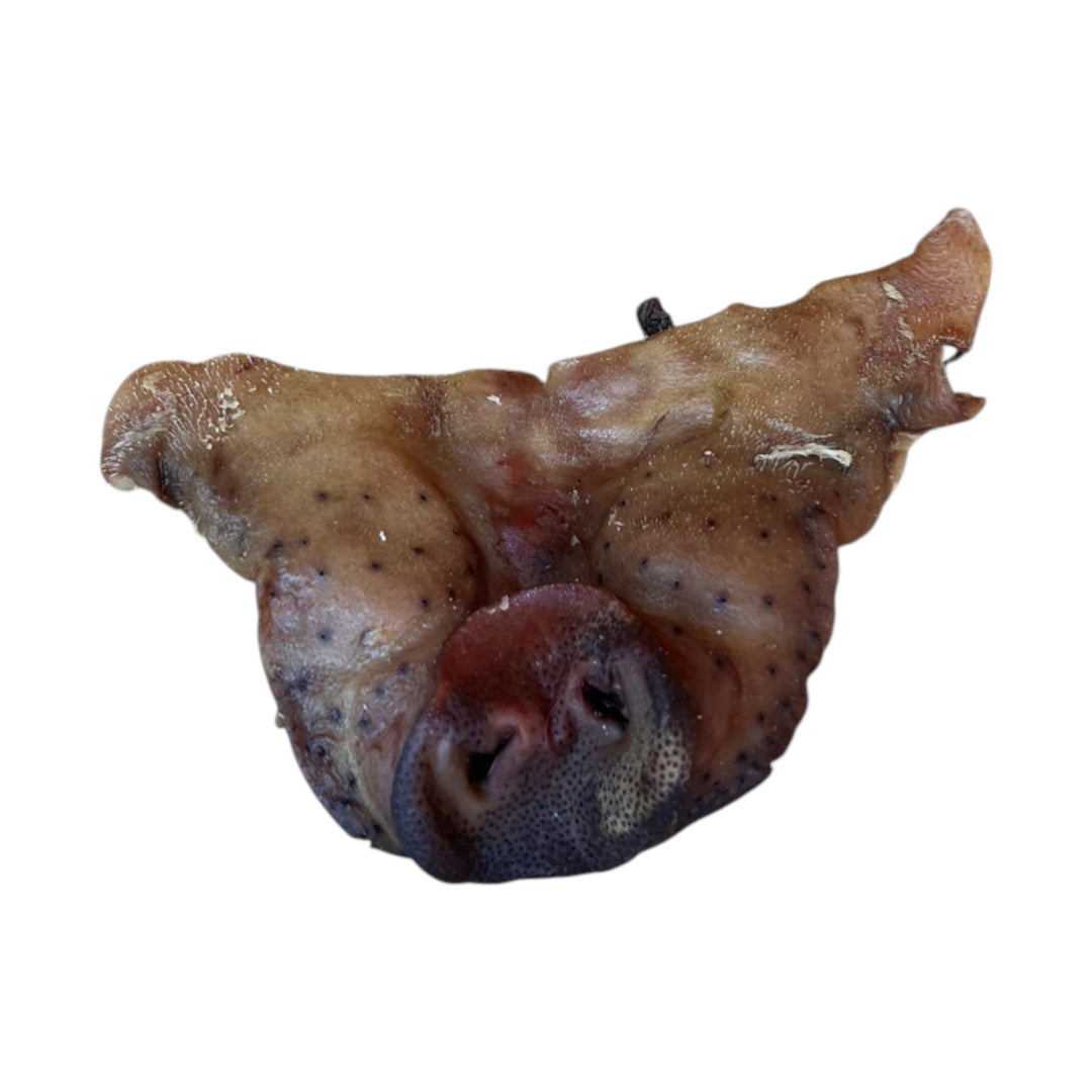 Grand Valley Quail Pet Pig Snout (1pc)