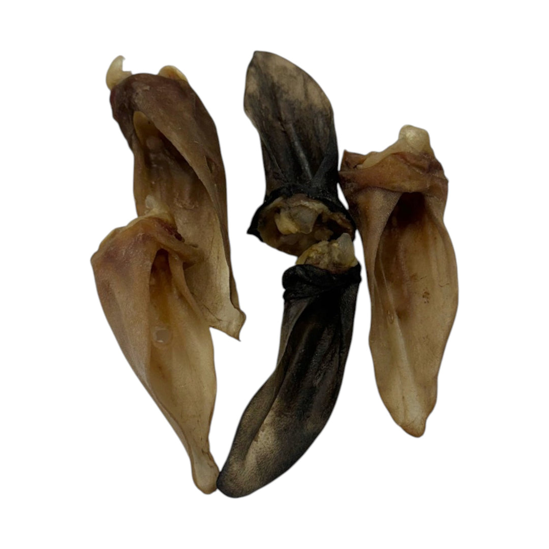 GVQPT LAMB EARS NO FUR BULK