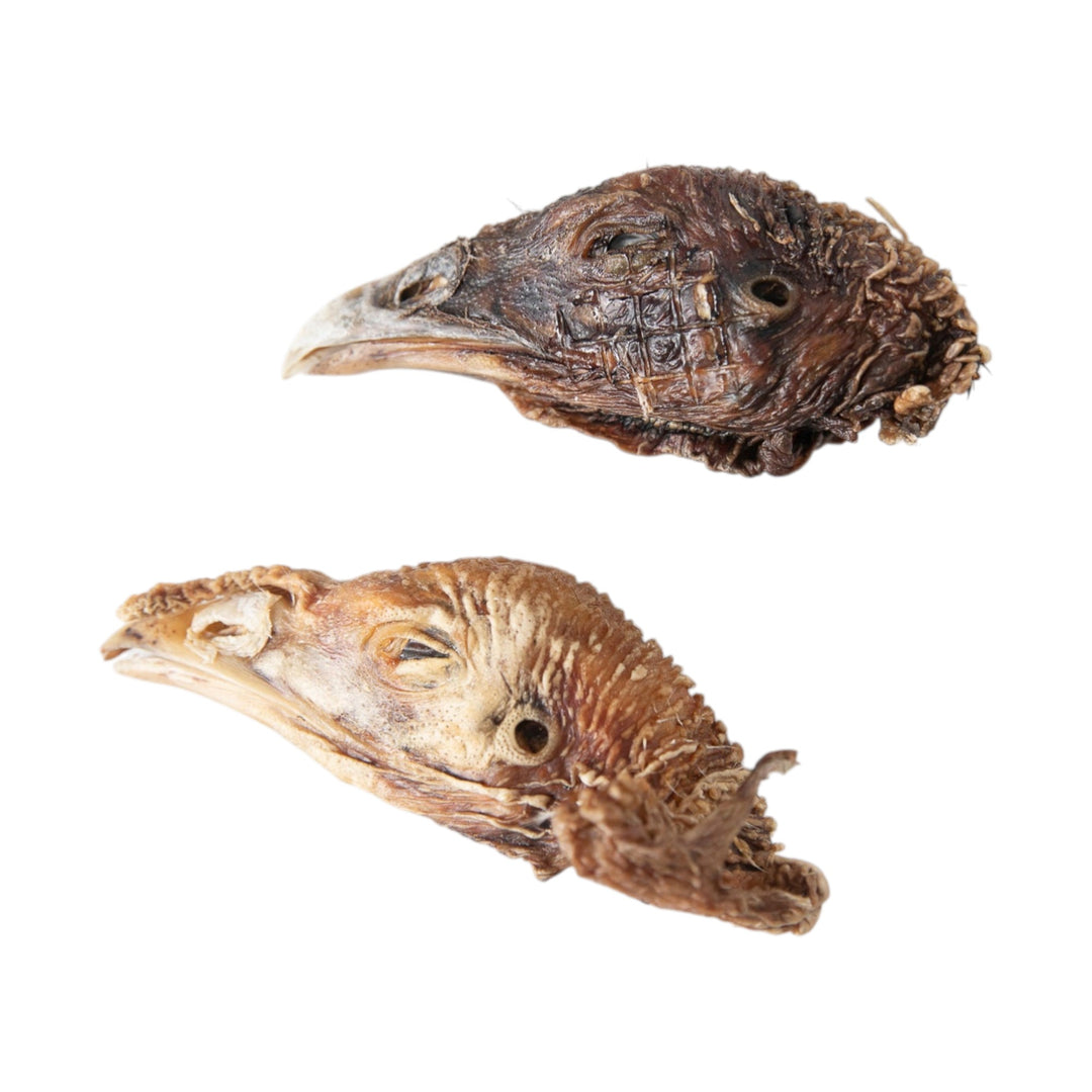 Grand Valley Quail Pet Dehydrated Turkey Head