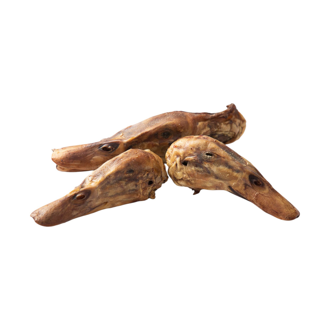 Grand Valley Quail Pet Duck Heads (1pc)
