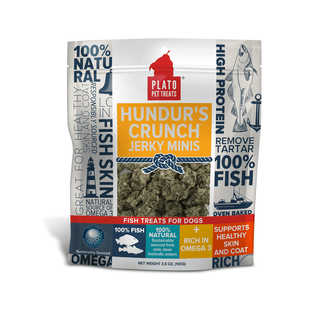 Plato Pet Hundur&