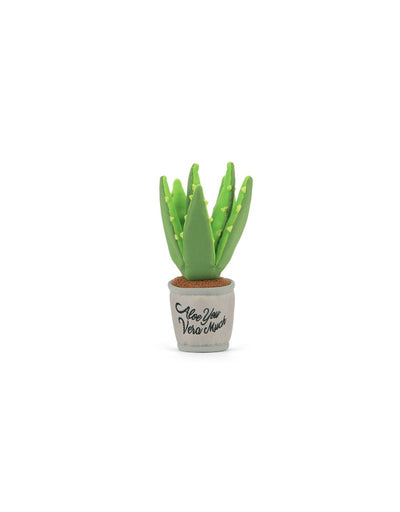 PLAY BLOOMING ALOE-VE YOU PLANT