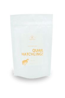 Doggo Hearts Freeze Dried Quail Hatchlings Small Bag (6pk) - Tail Blazers Etobicoke