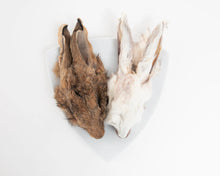 Grand Valley Quail Pet Rabbit Head With Fur (2pk)