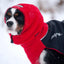 CHILLY DOGS HEAD MUFFS MED - Tail Blazers Etobicoke
