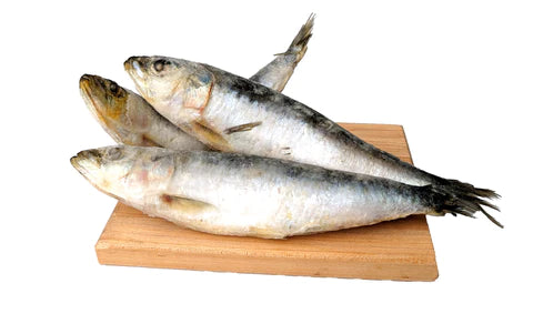 Just Raw Whole Sardines (3pc) - Tail Blazers Etobicoke