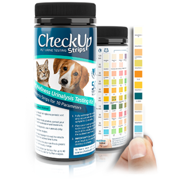 CheckUp 10 'n' 1 Urine Testing Kit
