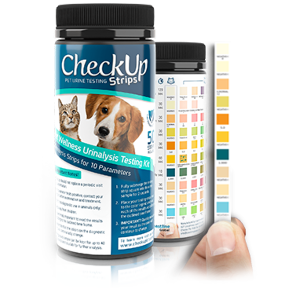 CheckUp 10 'n' 1 Urine Testing Kit - Tail Blazers Etobicoke