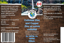 Earth MD Colloidal Zinc & Copper Spray (250mL) - Tail Blazers Etobicoke