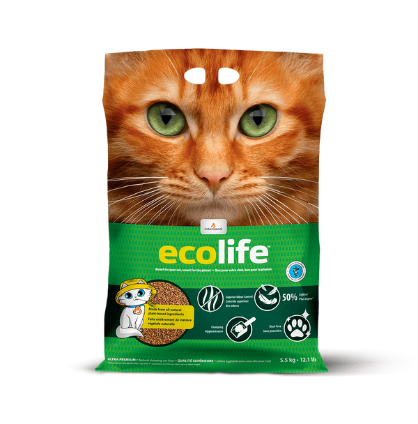 Intersand Ecolife Corn & Wheat Cat Litter (5.5kg)